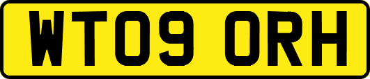 WT09ORH