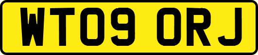 WT09ORJ