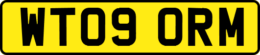 WT09ORM