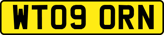 WT09ORN