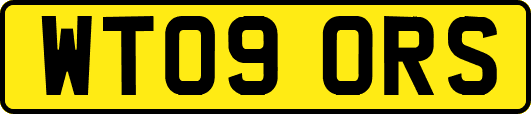 WT09ORS