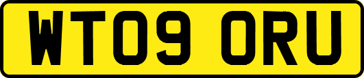 WT09ORU