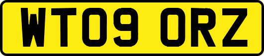 WT09ORZ