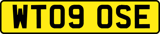 WT09OSE