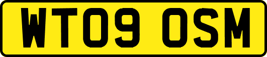 WT09OSM