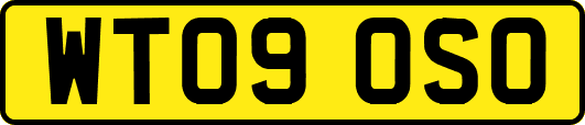 WT09OSO