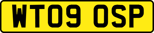 WT09OSP
