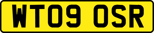 WT09OSR
