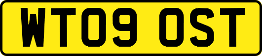 WT09OST