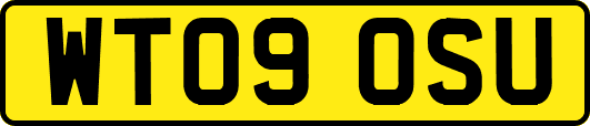 WT09OSU