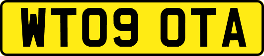 WT09OTA
