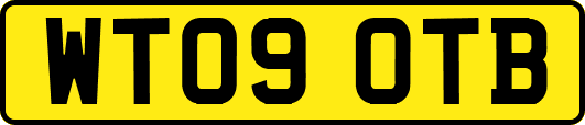 WT09OTB