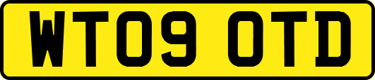 WT09OTD