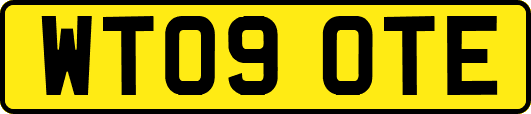 WT09OTE