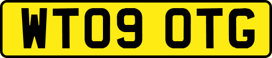 WT09OTG