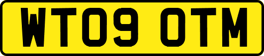 WT09OTM