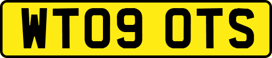 WT09OTS