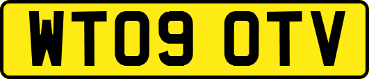 WT09OTV