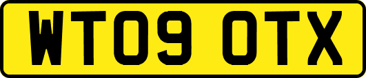 WT09OTX