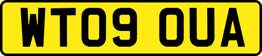 WT09OUA