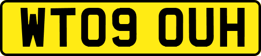 WT09OUH