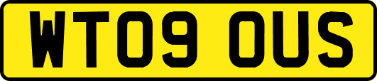 WT09OUS