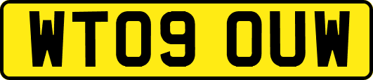 WT09OUW