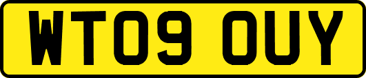 WT09OUY