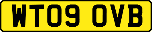 WT09OVB