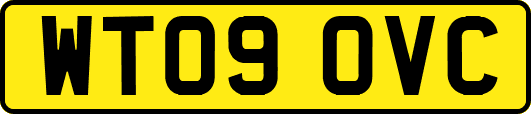 WT09OVC
