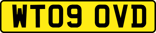 WT09OVD