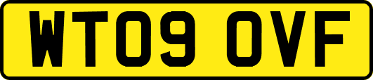WT09OVF