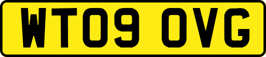WT09OVG