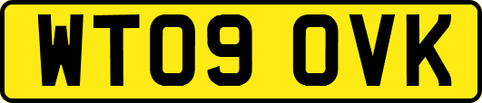 WT09OVK