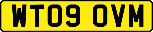 WT09OVM