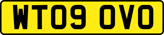 WT09OVO