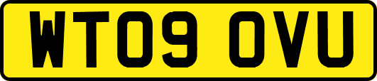 WT09OVU