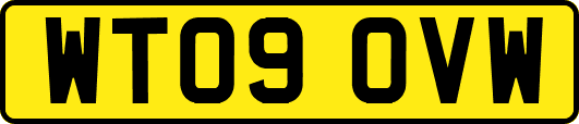 WT09OVW