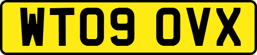 WT09OVX