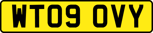 WT09OVY