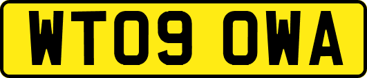 WT09OWA