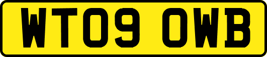 WT09OWB