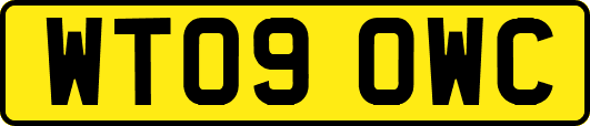 WT09OWC