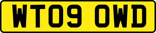 WT09OWD