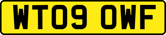 WT09OWF
