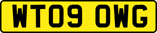 WT09OWG
