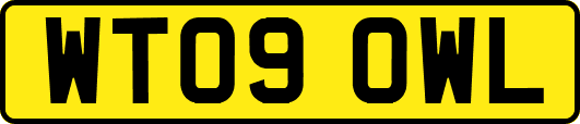 WT09OWL