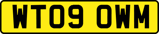 WT09OWM