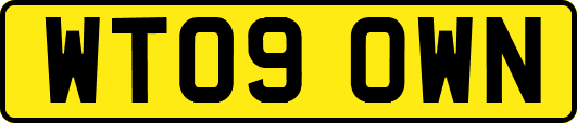 WT09OWN