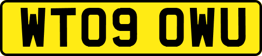 WT09OWU